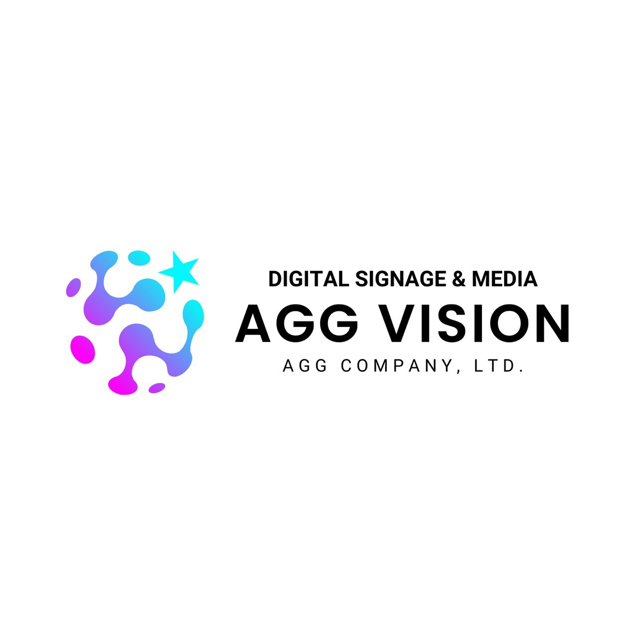 AGG VISION