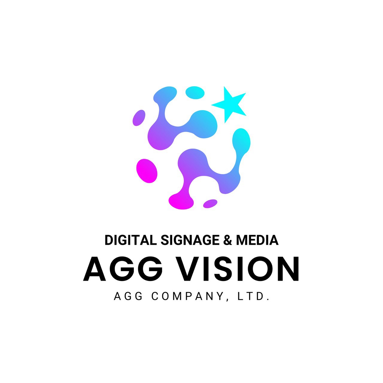 AGG VISION — DIGITAL SIGNAGE & MEDIA / AGG COMPANY, LTD.